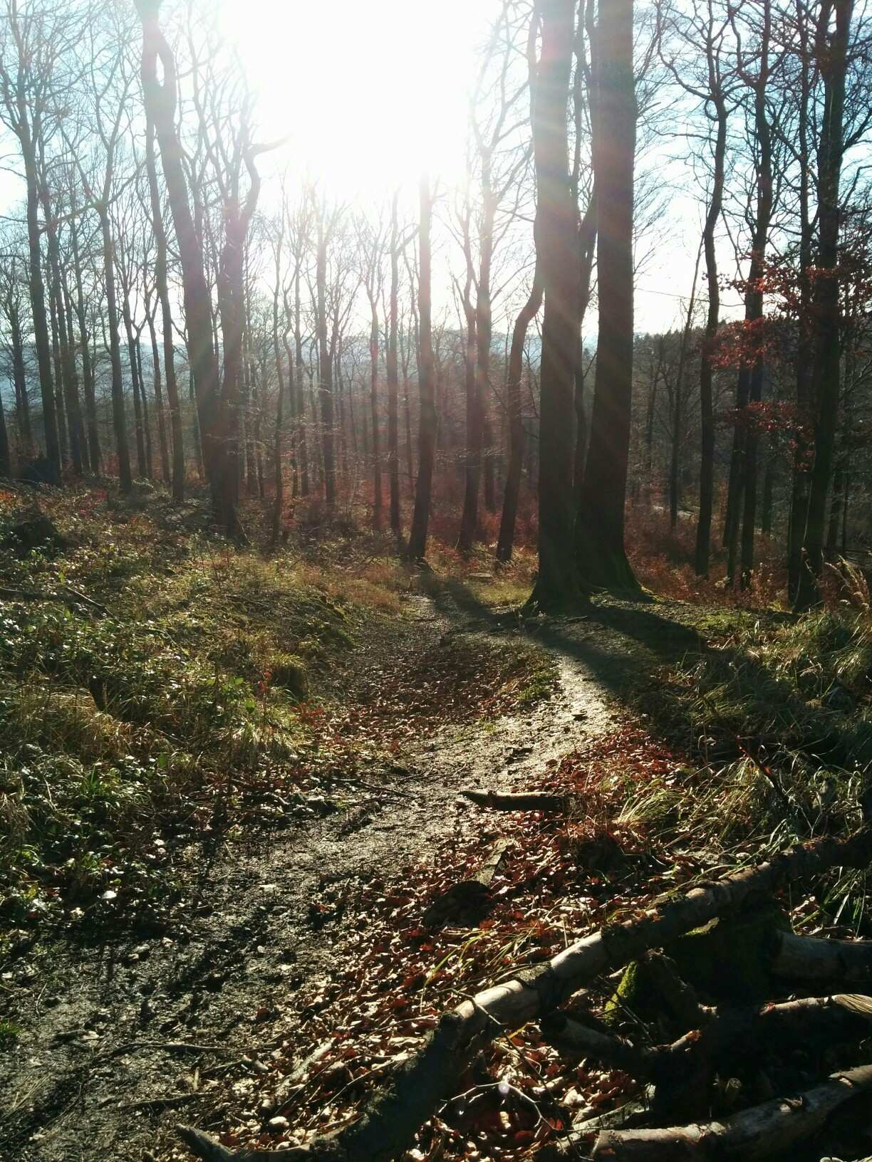 MTB trail Dortmund Arnsberg